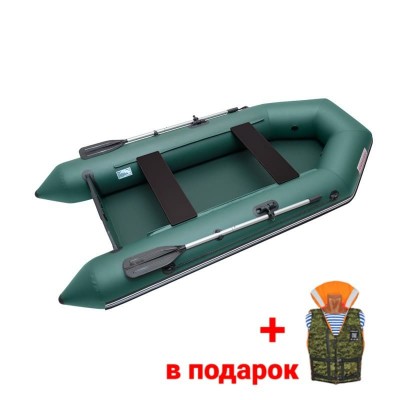 Надувная лодка ПВХ Roger Standart 2800 с привальным брусом